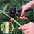 🎉2024 New Year Promotion 30% Off - Garden Professional Grafting Cutting Tool