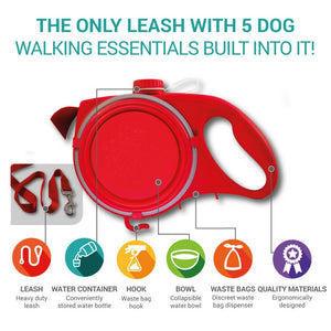 All-In-One Leash